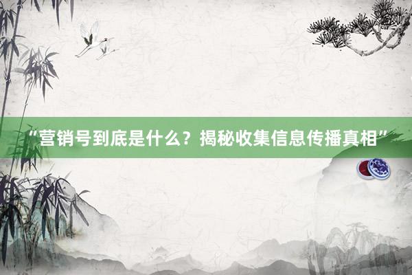 “营销号到底是什么？揭秘收集信息传播真相”